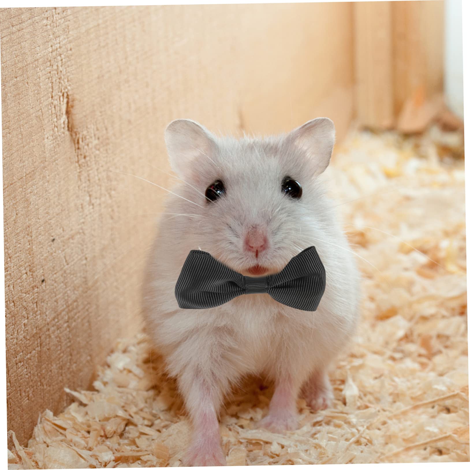 Amazon | PATKAW ハムスター 帽子 ワンちゃん 服 グリーン サンタ 帽子